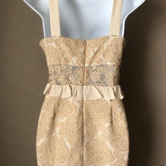 Jay Godfrey Pretty Lace Dress Size 4 NEW - Picture 4 of 5